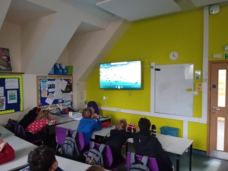 Primary students sit at their desks and watch a video playing on a classroom digital display